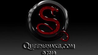 Queen Snake - Pinned Down