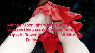 Midnite Moonlight Windy Day Upskirt Giantess Unaware Wet Whute Panties Upskirt Towering Over You Midnite Fullmoon Outside